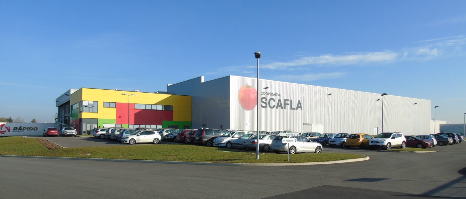 Scafla