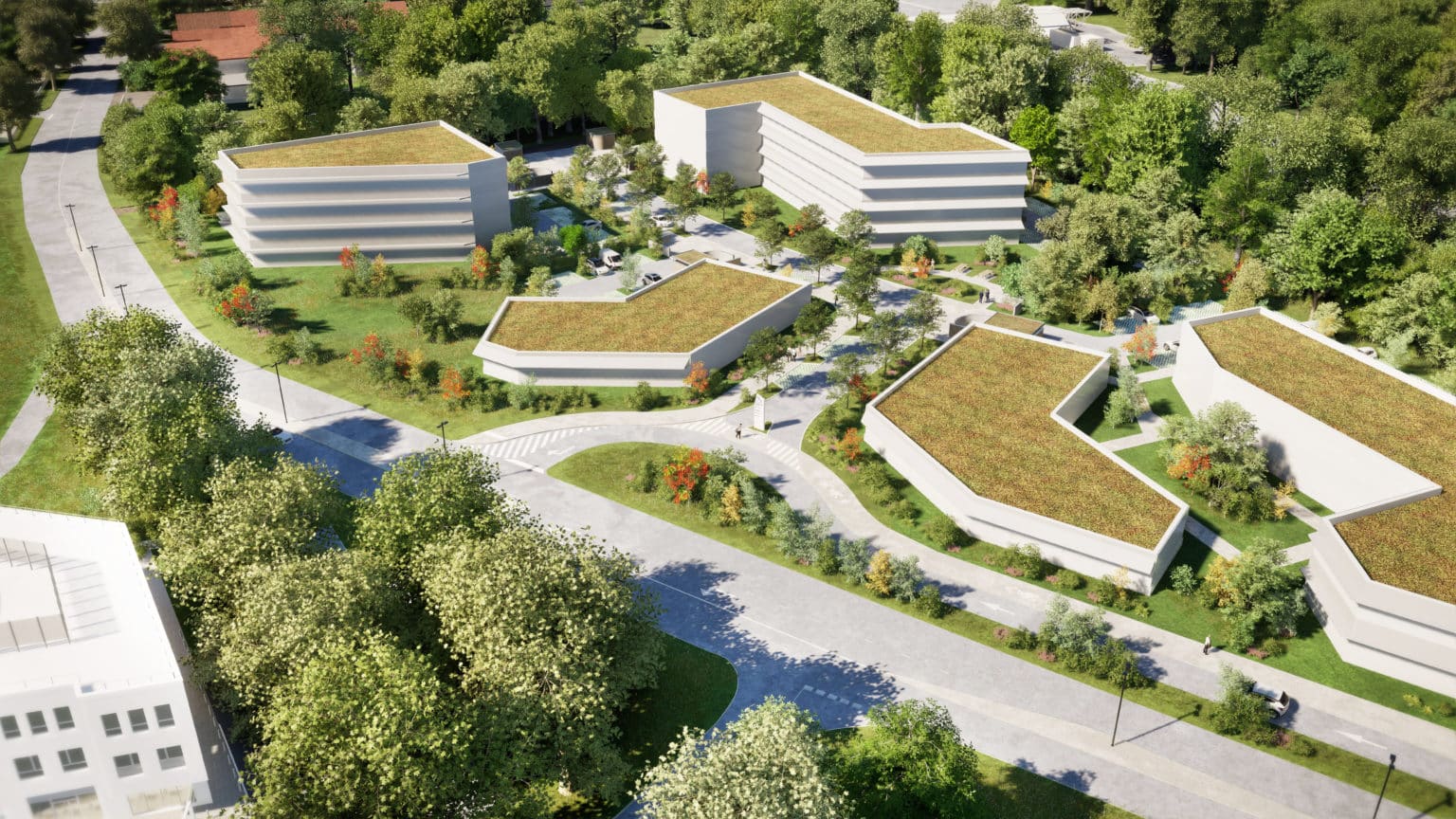 ECOSYSTEME